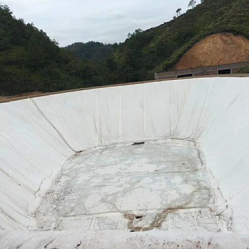 �B(y��ng)ֳ���BĤ