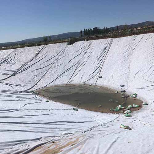 ����Ĥ����